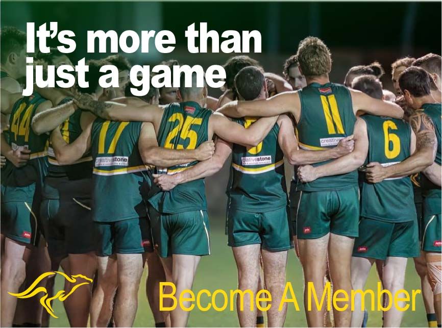 Become A Member - Maroochydore Roos AFC